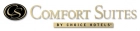 Comfort Suites Lobby Graphic - Linear Version