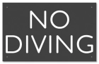Idaho No Diving Sign