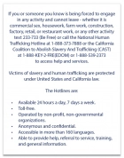 California English Human Trafficking Notice