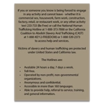California English Human Trafficking Notice