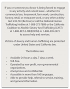 California English Human Trafficking Notice