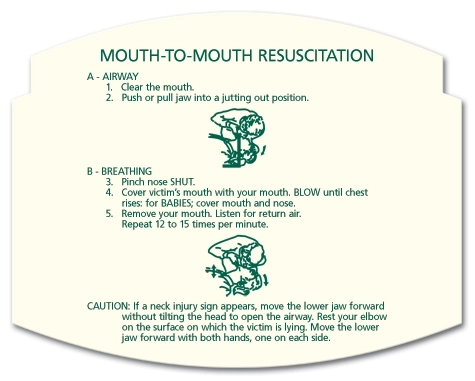 Mouth to Mouth Resuscitation Instructions