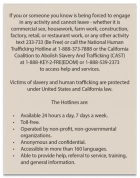 California English Human Trafficking Notice