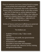 California English Human Trafficking Notice