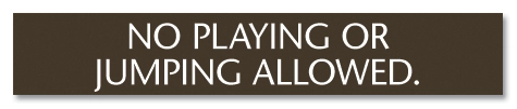 No Playing or Jumping Allowed Sign