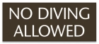 Virginia No Diving Sign