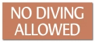 Virginia No Diving Sign