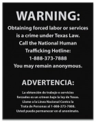 Texas Code - Human Trafficking Notice - Celtec Material 