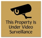 Video Surveillance Sign- Fiberbrite