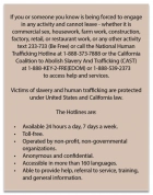California English Human Trafficking Notice