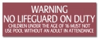 Nebraska No Lifeguard Sign
