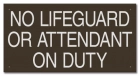 Oklahoma No Lifeguard Sign