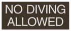 Virginia No Diving Sign