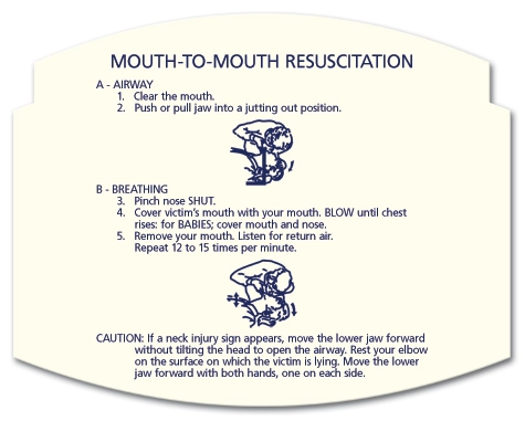 Mouth to Mouth Resuscitation Instructions