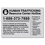 New York Human Trafficking Notice Sign