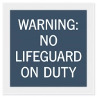 No Diving Sign w/Symbol