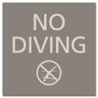 No Diving Sign w/ Symbol