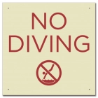 No Diving Sign with Symbol