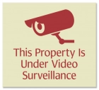Video Surveillance Sign- Fiberbrite