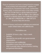 California Code - Human Trafficking Notice - (Hilton Premier) English Version
