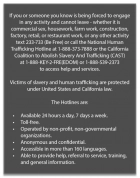 California Code - Human Trafficking Notice - (Hilton Standard) English Version