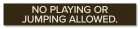 "No Playing or Jumping Allowed" Sign