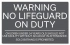 Nevada No Lifeguard Sign