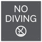 No Diving Sign with Symbol