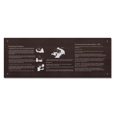 State Pool Sign - CPR Instructions Sign