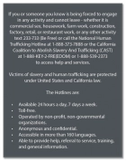 California Code - Human Trafficking Notice - English Version 