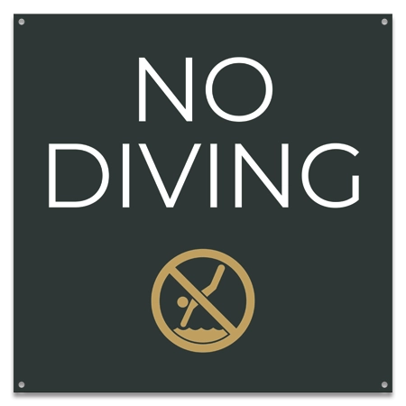 No Diving Sign w/ Symbol