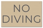 State Pool Sign - No Diving - Idaho Compliant