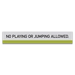 "No Playing or Jumping Allowed" Sign