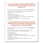 SC Human Trafficking Notice English/Spanish Acrylic Sign