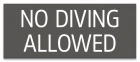 Virginia No Diving Sign