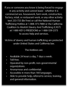 California English Human Trafficking Notice
