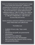 California English Human Trafficking Notice