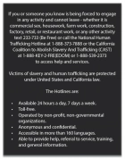 California Code - Human Trafficking Notice - English Version
