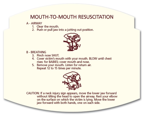 Mouth to Mouth Resuscitation Instructions