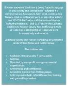 California Code - Human Trafficking Notice - English Version 