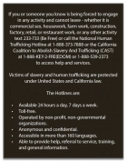 California Human Trafficking Notice - English Version 
