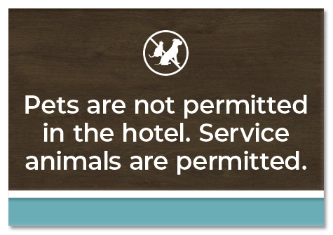 Pets Are Not Permitted Sign w/Symbol