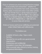 California English Human Trafficking Notice
