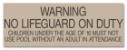 Nebraska No Lifeguard Sign
