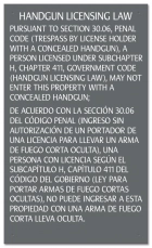 Handgun Licensing Law Sign (30.06) - Concealed