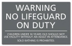 Nevada No Lifeguard Sign