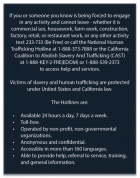 California English Human Trafficking Notice