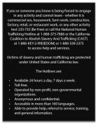 California English Human Trafficking Notice