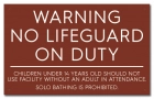 Nevada No Lifeguard Sign