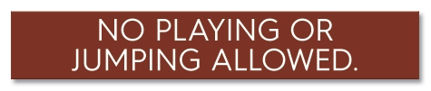 No Playing or Jumping Allowed Sign